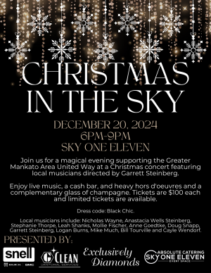 Christmas in the Sky Flyer